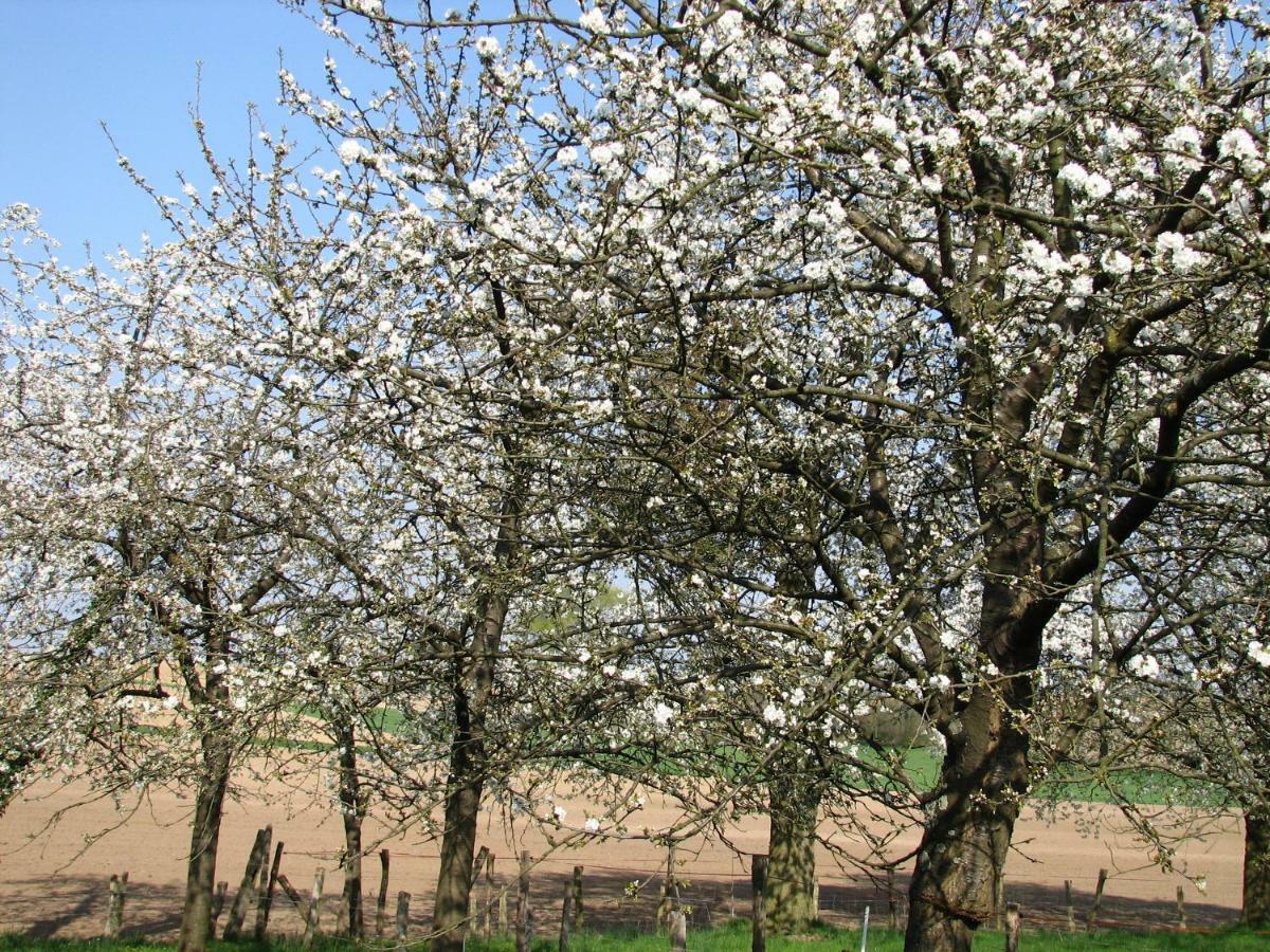 Gite Decouverte Alsace Kuhlendorf Екстериор снимка